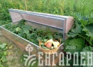 Парник Воля Лотос