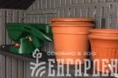 Сарай пластиковый WoodLook 8*7.5