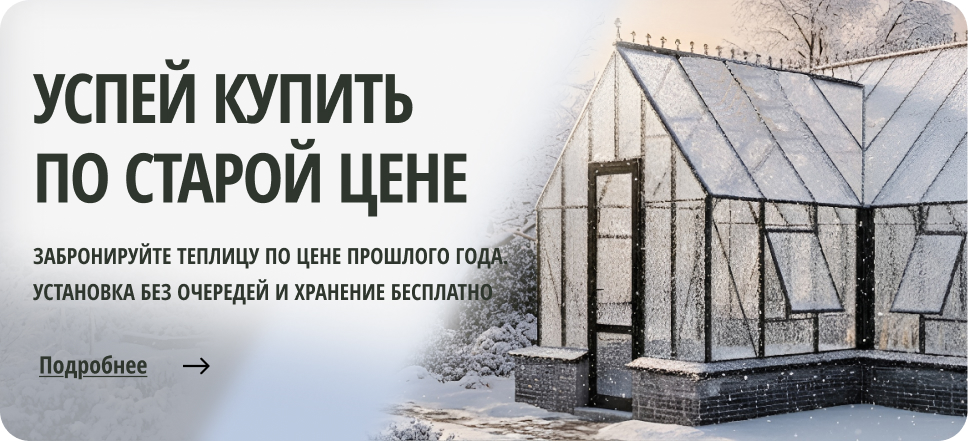 Успей купить по старой цене