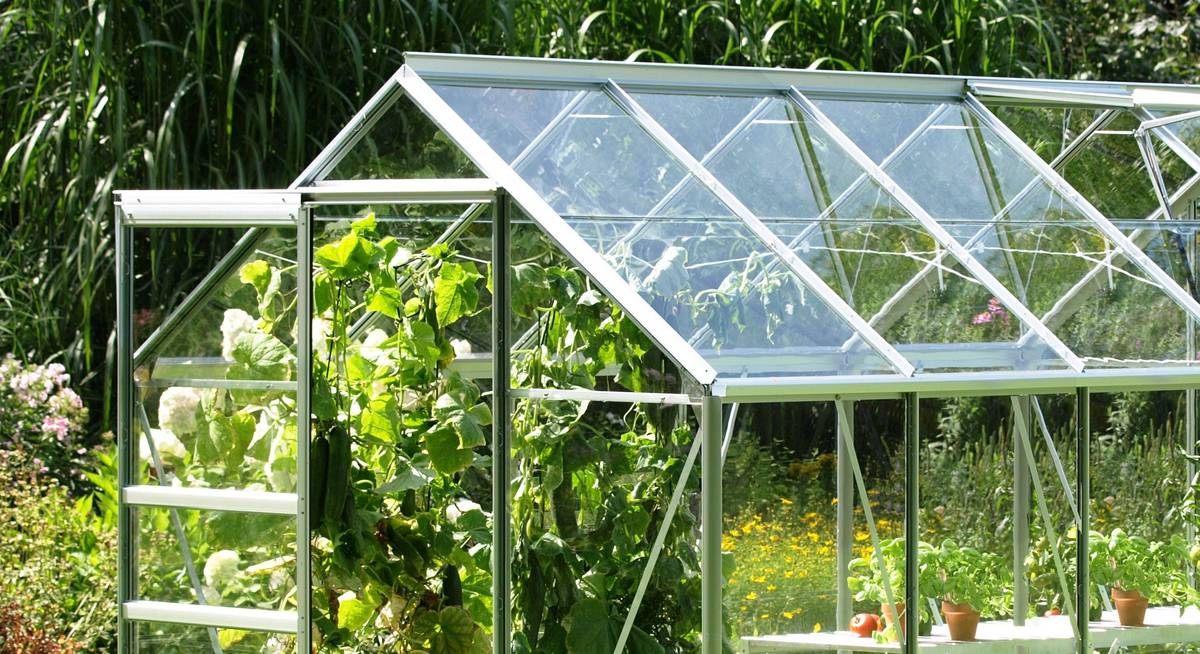 Как выбрать теплицу и на что обратить внимание