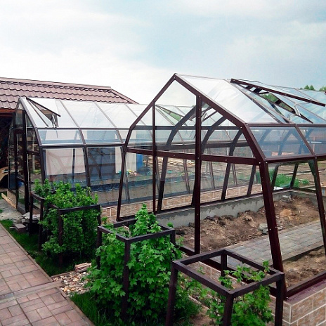 Теплица ДНЕПР