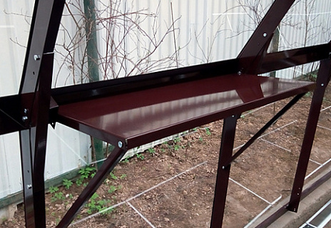 Полка с окраской в оцинковоную теплицу GLASS HOUSE