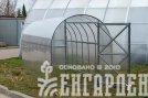 Теплица Воля Перчина М Плюс