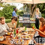 Газовый гриль Char-Broil Performance Power Edition 3B