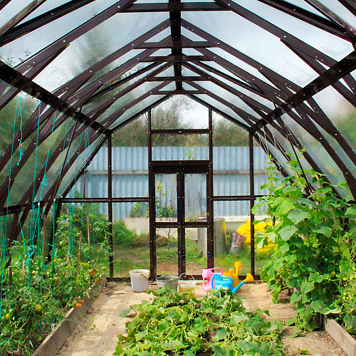 Теплица ТЕРЕК