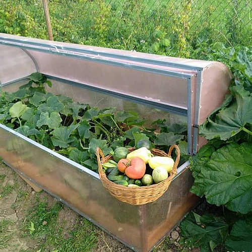 Парник Воля Лотос