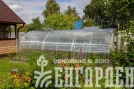 Теплица Воля Двойная Фора