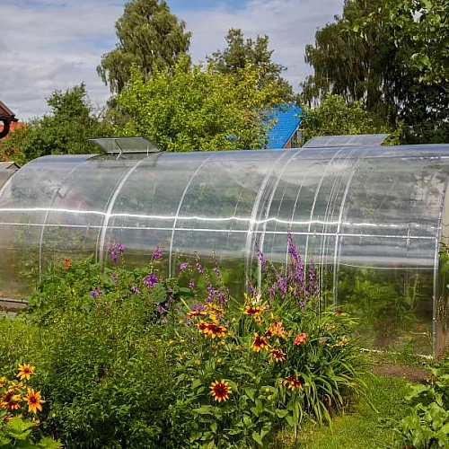 Теплица Воля Двойная Фора