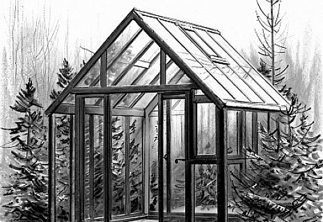 Теплица АЛЬФА 3.5