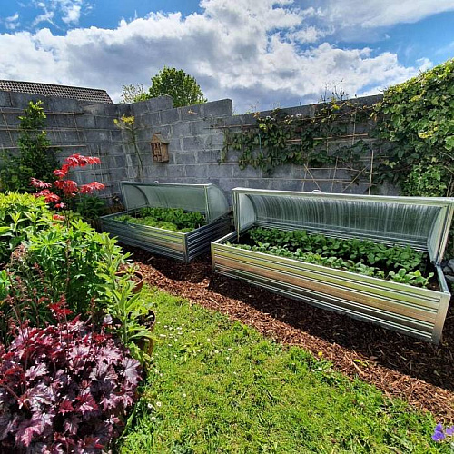 Парник Воля Хлебница