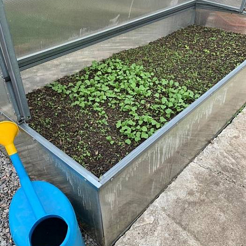 Парник Воля Лотос