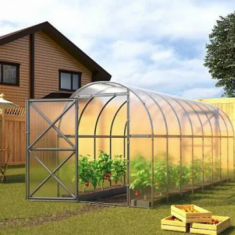Теплица Воля Перчина М Плюс