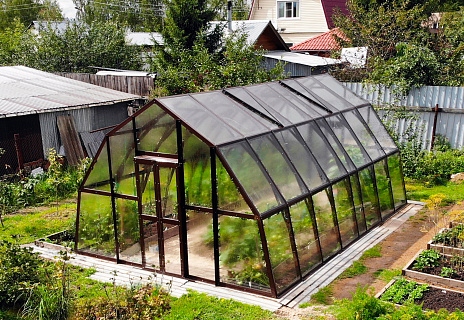 Теплица Кипарис