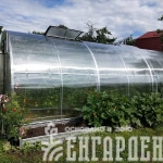 Теплица Воля Двойная Фора
