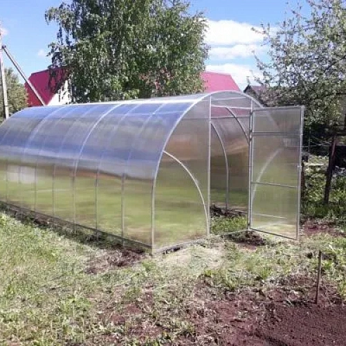 Теплица Воля	 Бетта-Ц