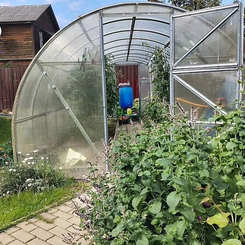 Теплица Воля Дачная-Эко