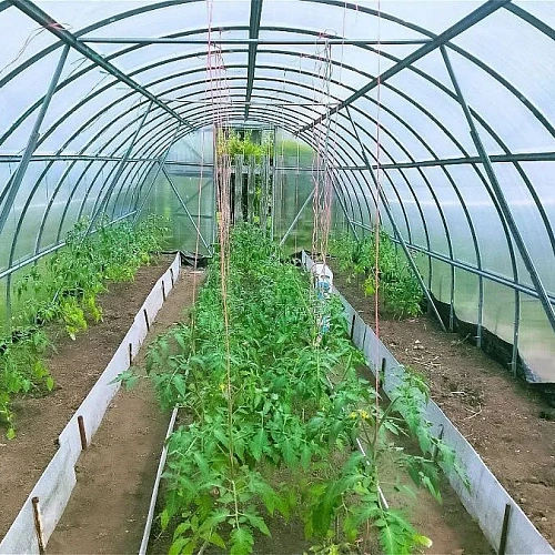 Теплица Воля Эко с усилителями