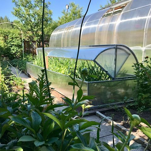 Парник Воля Лотос