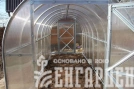 Теплица Воля Перчина М Плюс