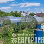 Теплица Воля Эко с усилителями