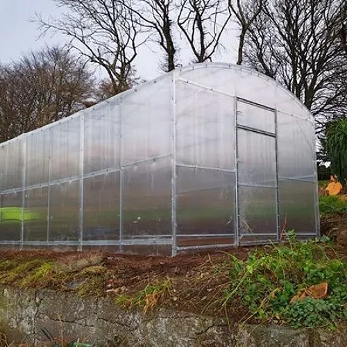 Теплица Воля Прима 3 (шаг 100 см)