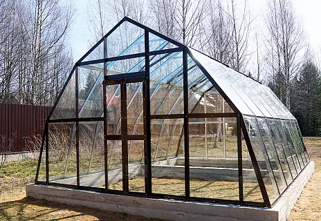 Теплица Амур