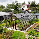 Теплица Кипарис