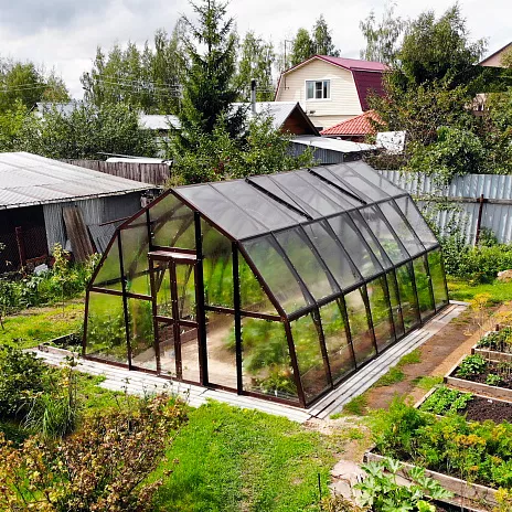 Теплица Кипарис
