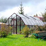 Теплица Кипарис